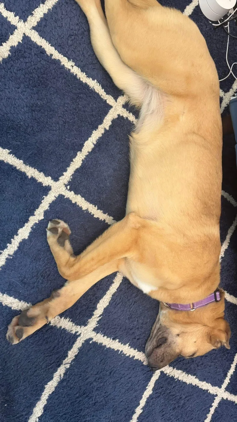 Charlotte thumbnail 3