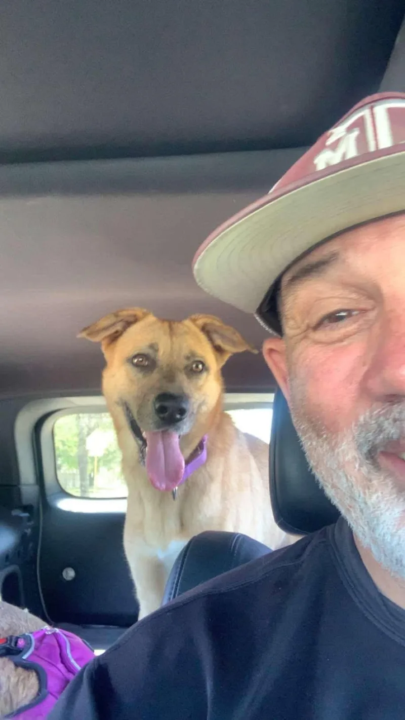 Charlotte thumbnail 4