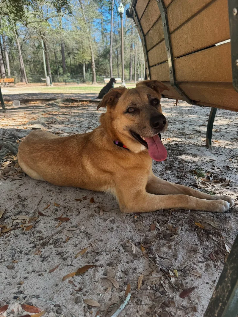 Charlotte thumbnail 5