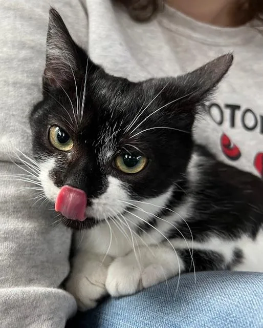 Frankie Wynnewood thumbnail 2