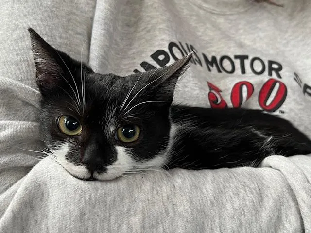 Frankie Wynnewood thumbnail 4