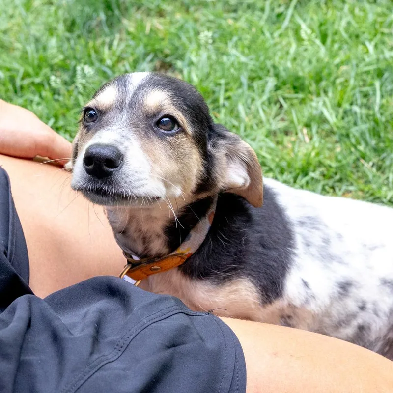 TobyAvail thumbnail 3