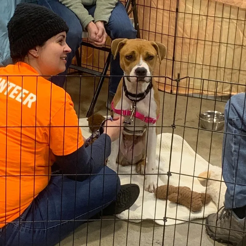 Penny Coming Soon thumbnail 2