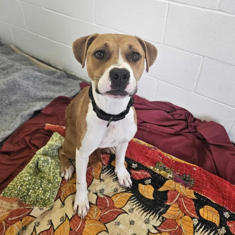 Penny Coming Soon thumbnail 3