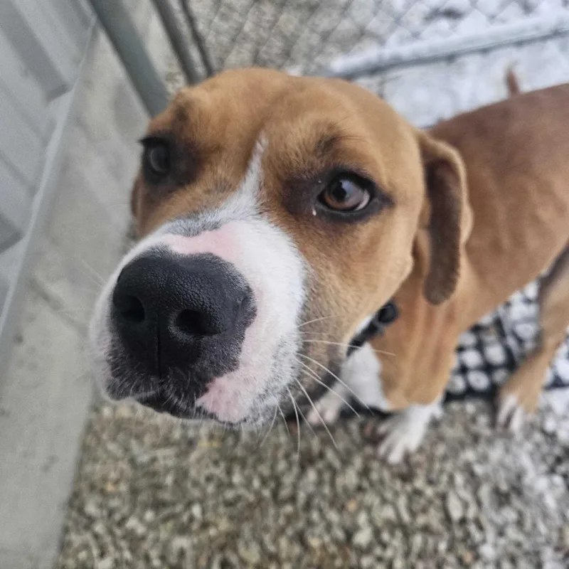 Penny Coming Soon thumbnail 4