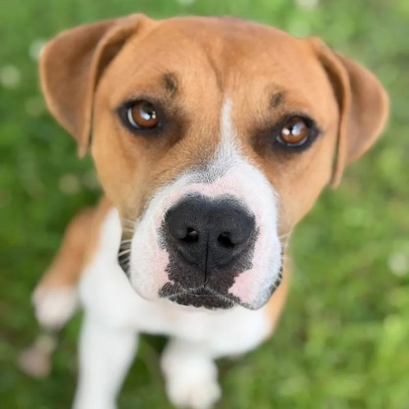 Penny Coming Soon thumbnail 5