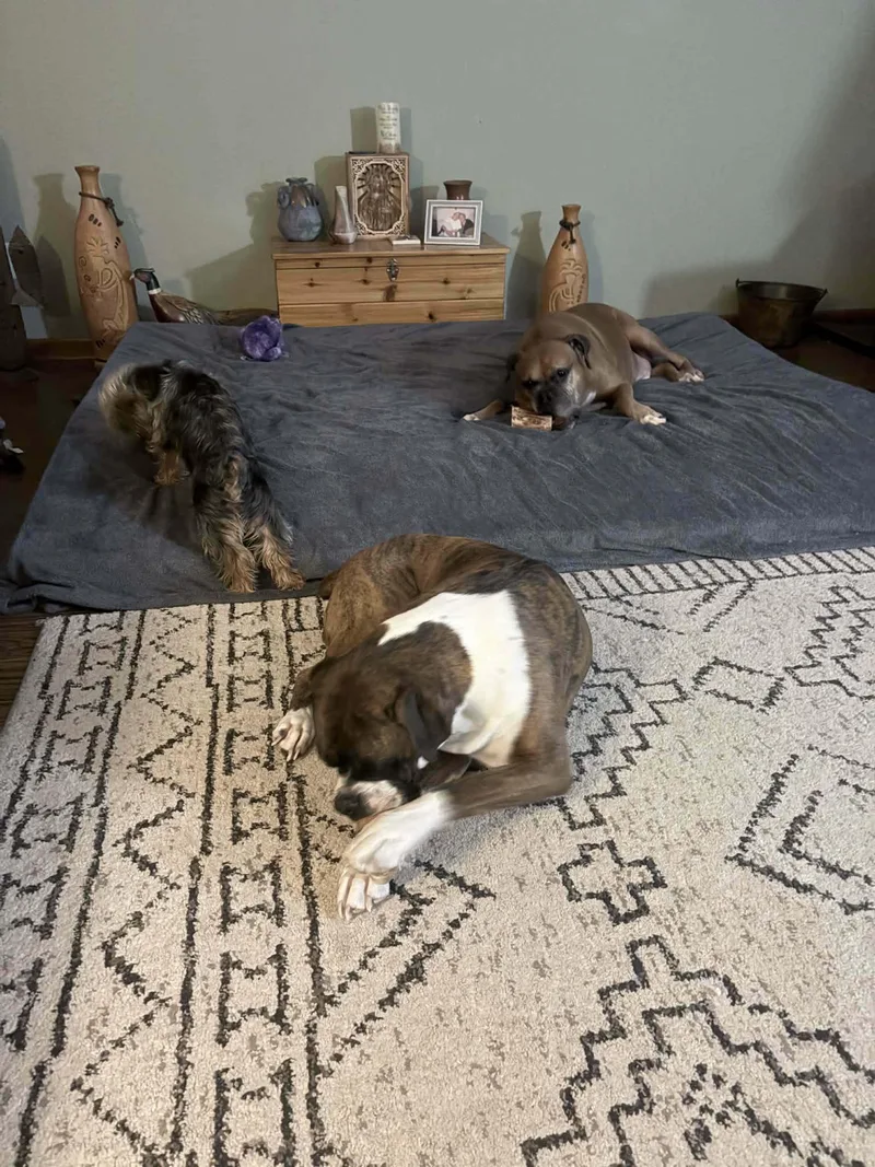 Ryleigh & Roscoe thumbnail 4