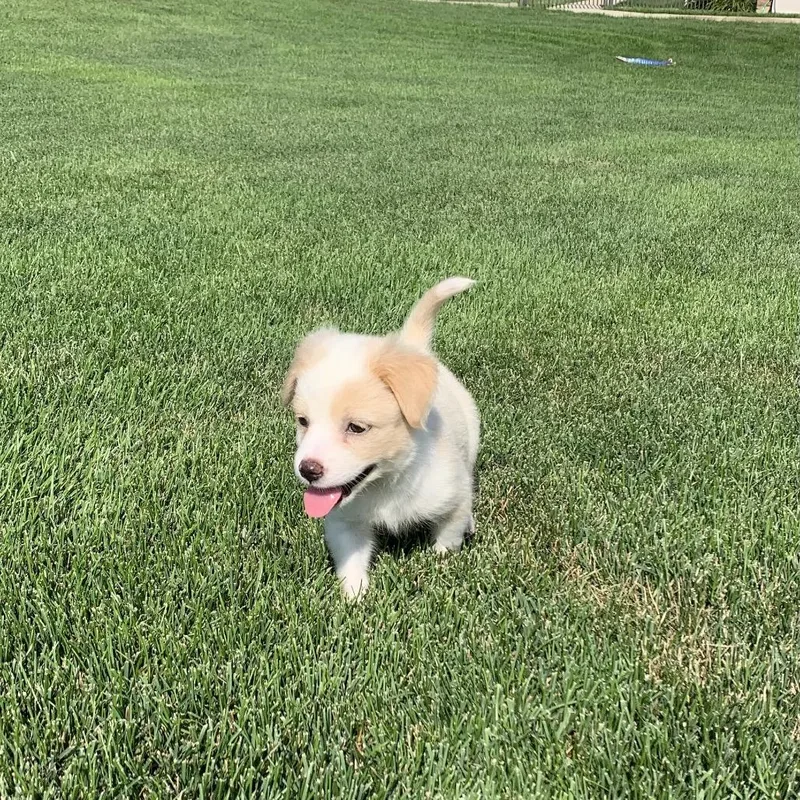 Aspen thumbnail 6