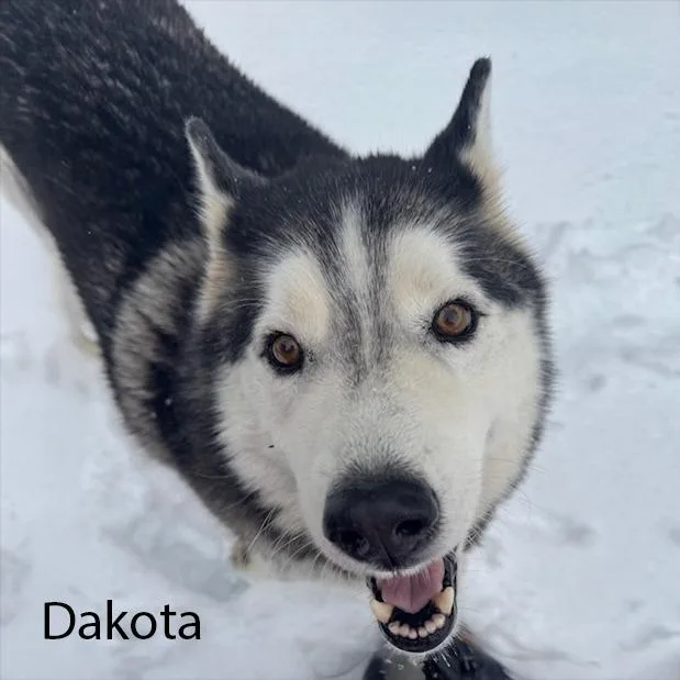 Dakota
