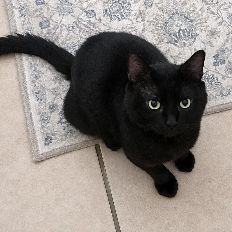 Salem