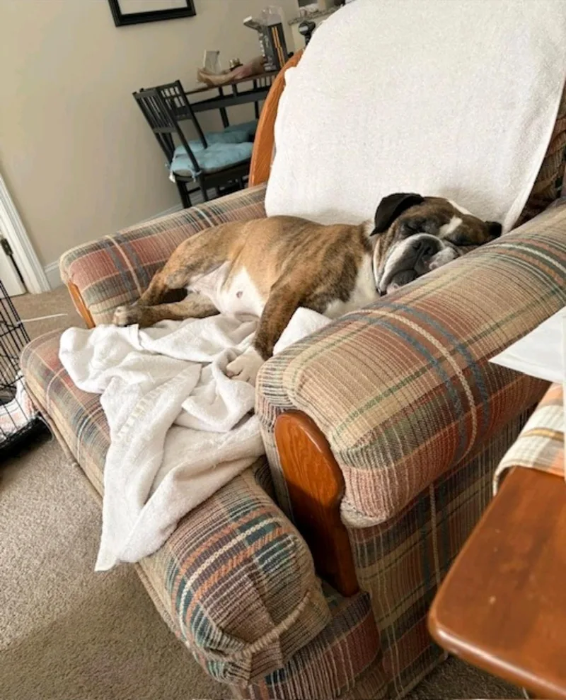 Bubblesbeabull thumbnail 2