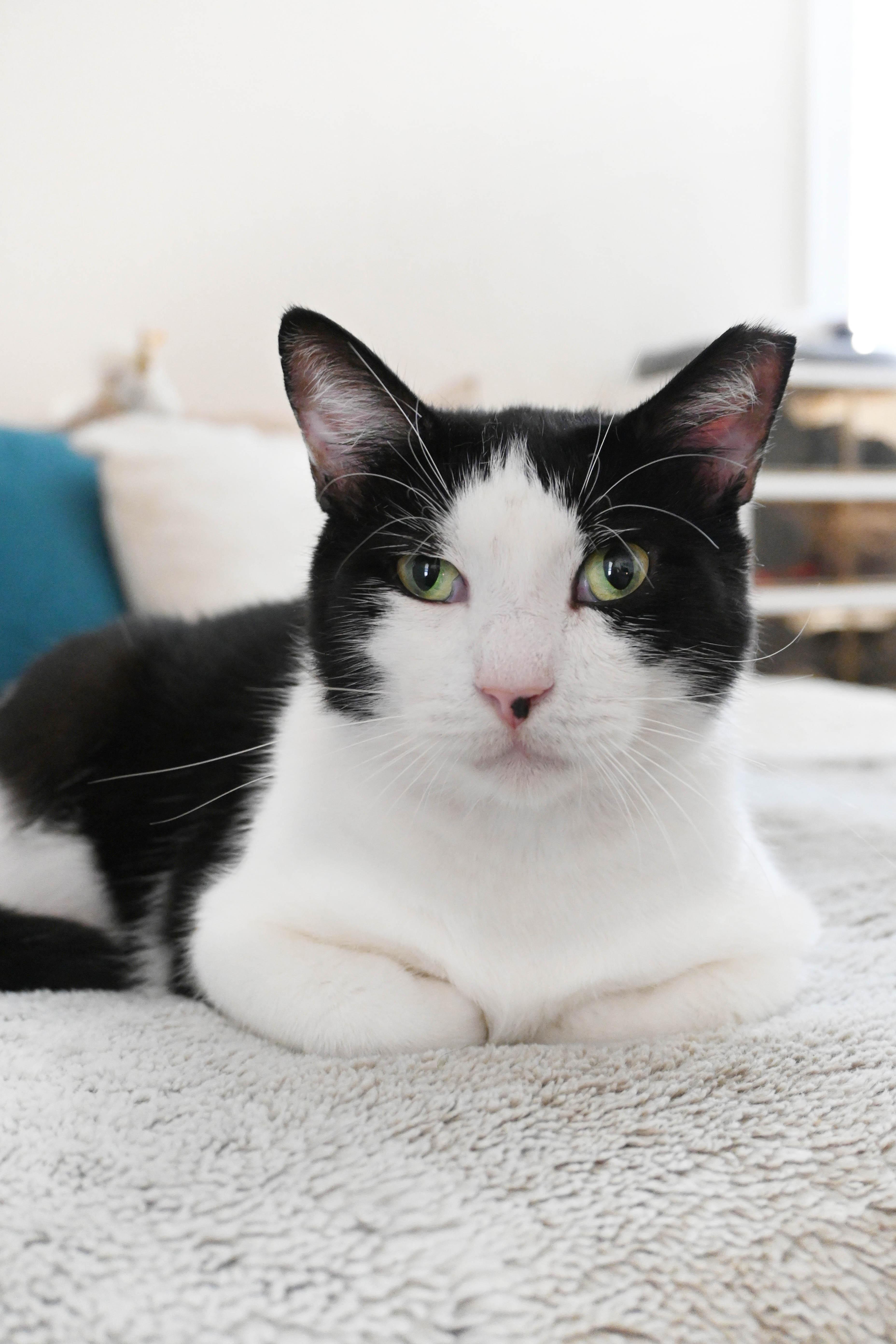 Jimmy Carter thumbnail 2