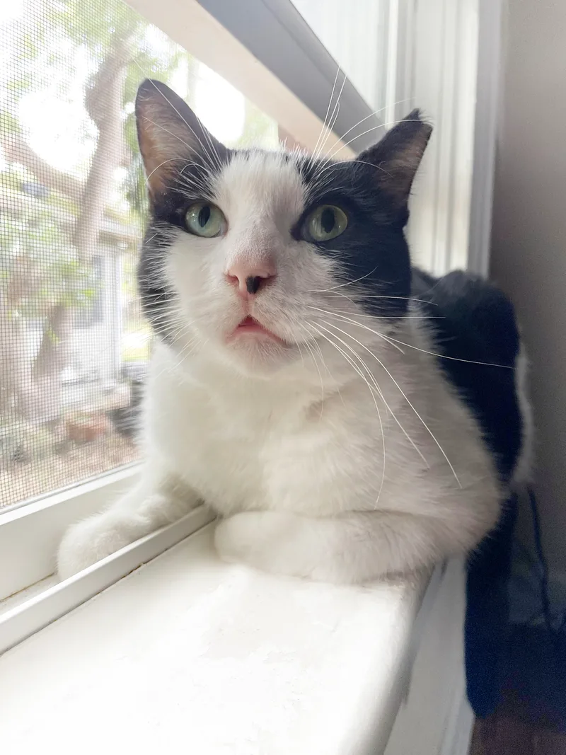 Jimmy Carter thumbnail 3