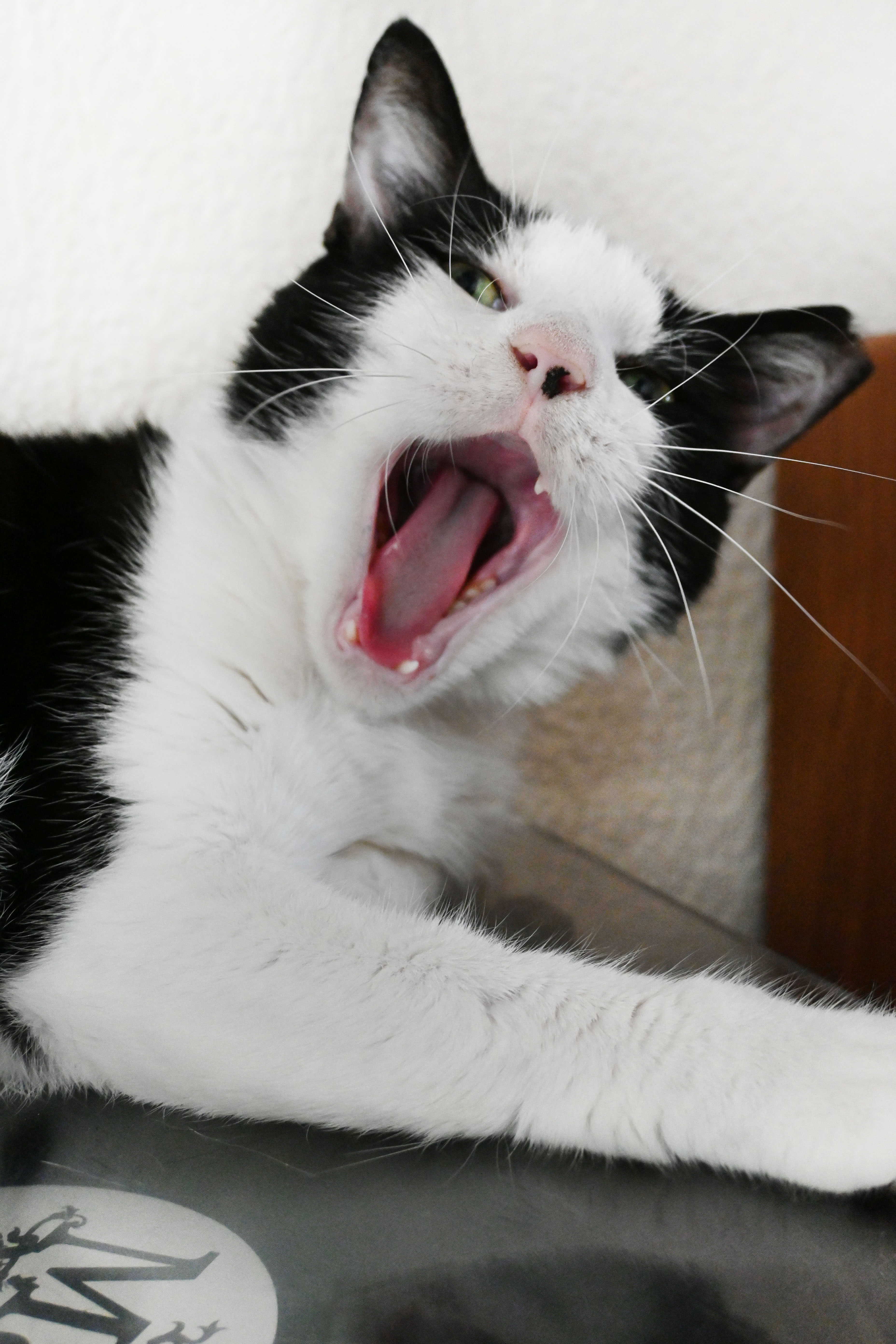 Jimmy Carter thumbnail 4