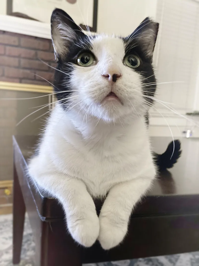 Jimmy Carter thumbnail 5