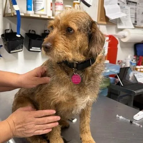 Finemess thumbnail 3