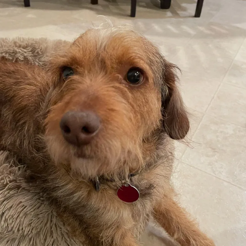 Finemess thumbnail 4