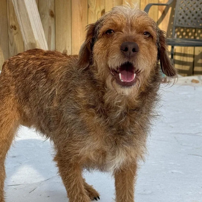 Finemess thumbnail 5