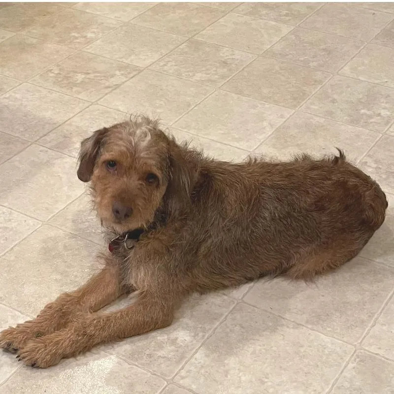 Finemess thumbnail 6