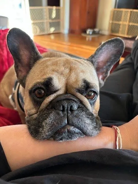 Charlene thumbnail 2