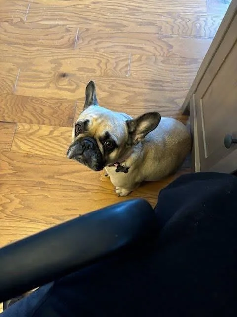 Charlene thumbnail 3