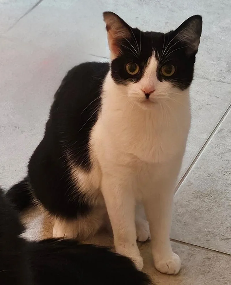 Baby Gigi thumbnail 2