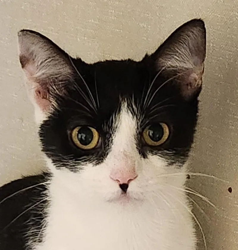 Baby Gigi thumbnail 3