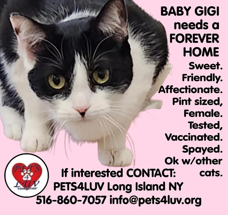 Baby Gigi thumbnail 4