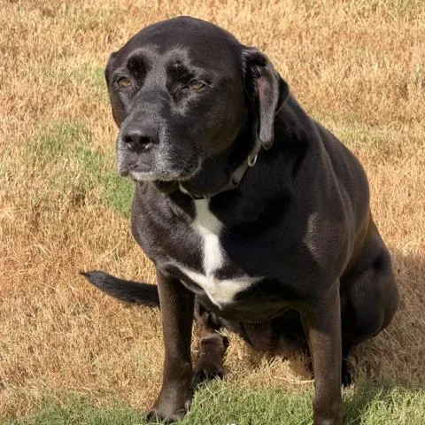 Rita