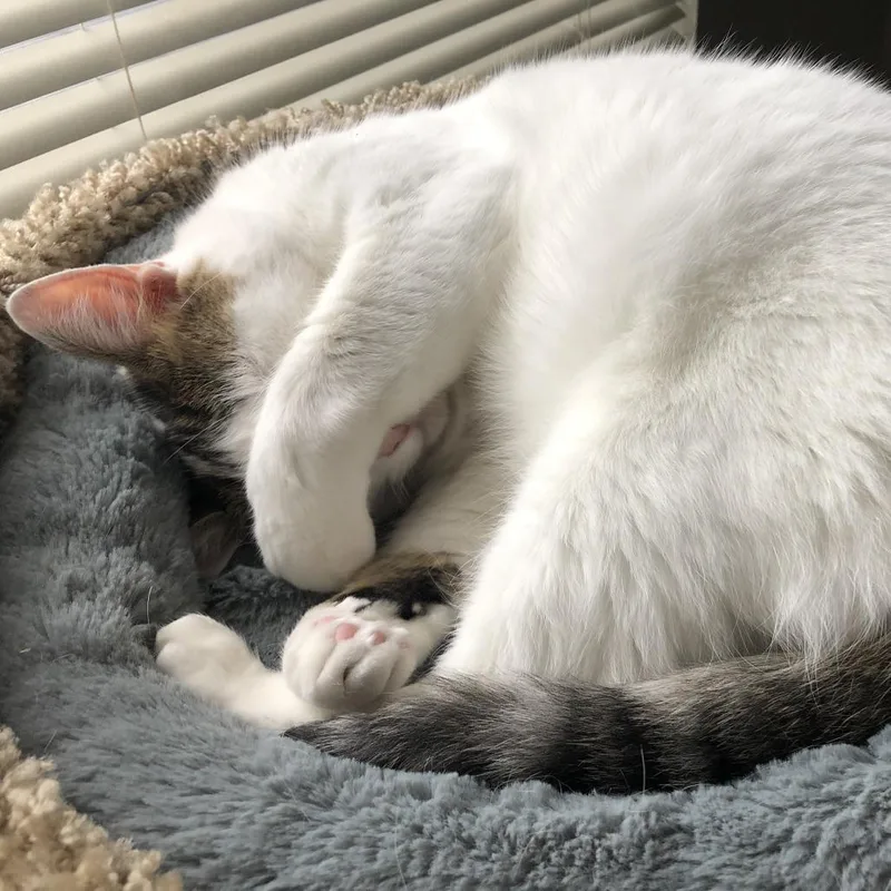 Nora thumbnail 4