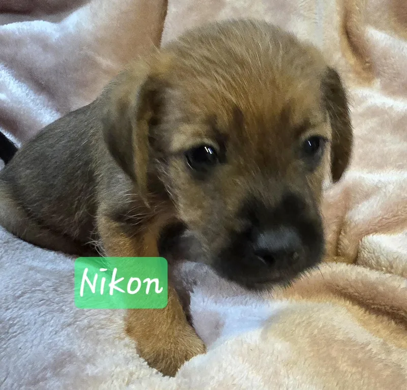 Nikon thumbnail 5