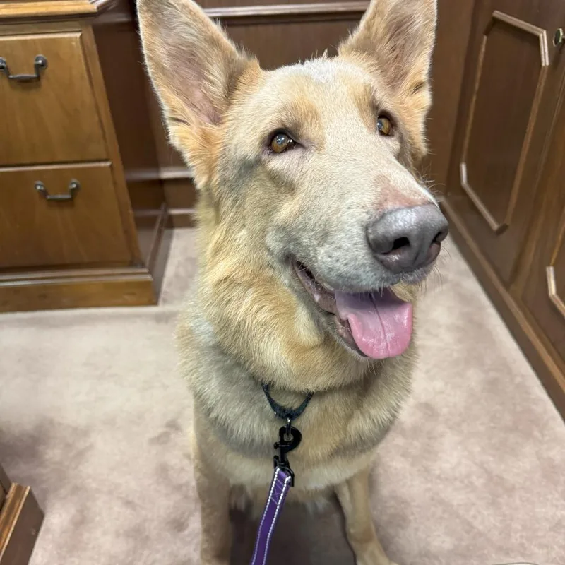 Flora Lucy thumbnail 2