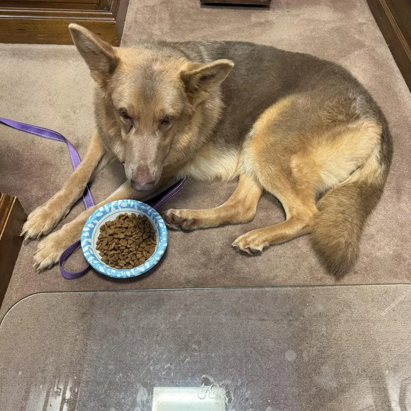 Flora Lucy thumbnail 3