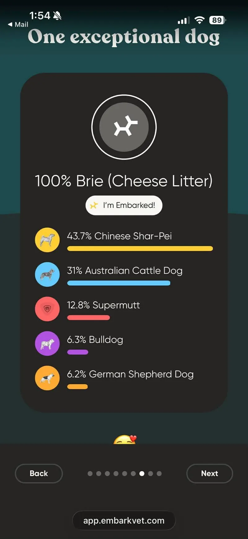 Muenster thumbnail 3