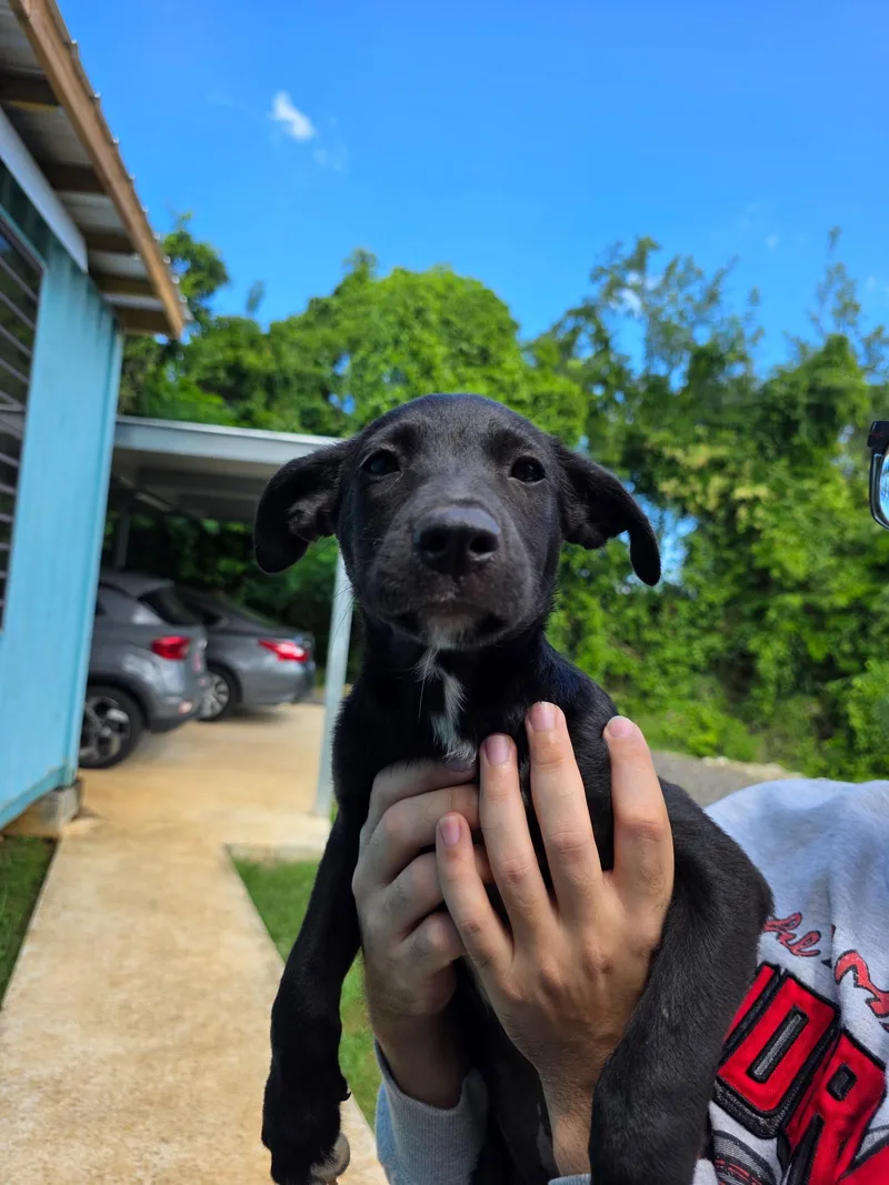 Millie  The Cuddle thumbnail 3