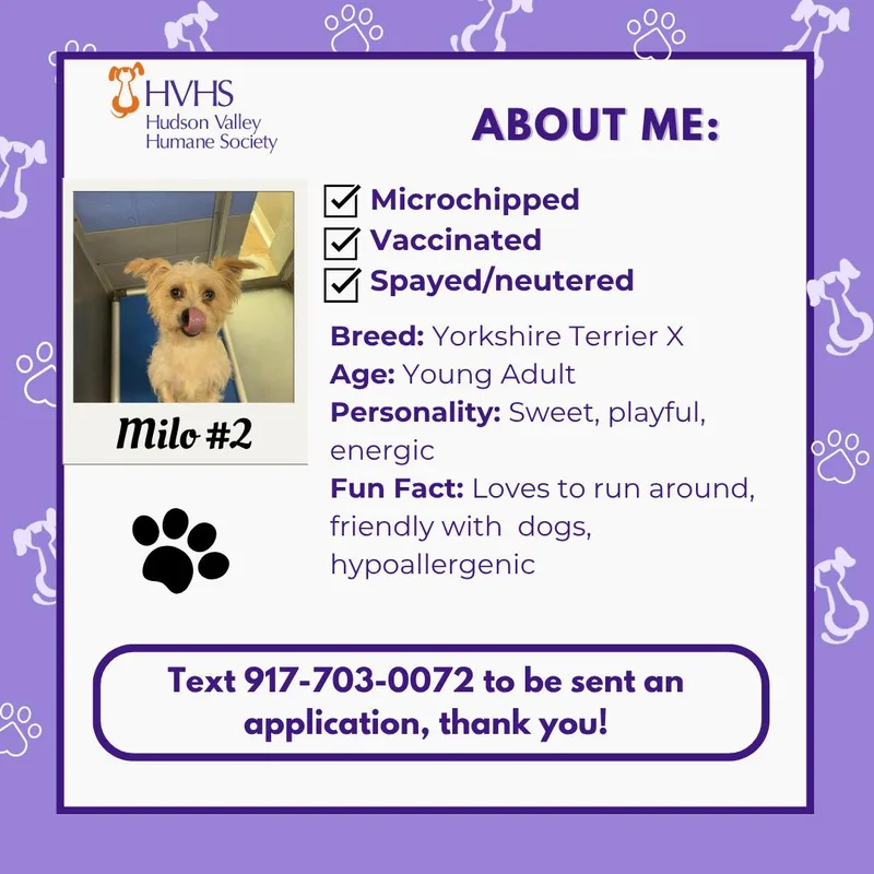 Milo