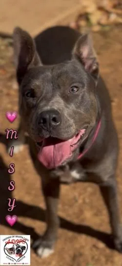 Missy thumbnail 3