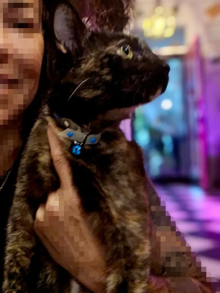 Sherri thumbnail 3