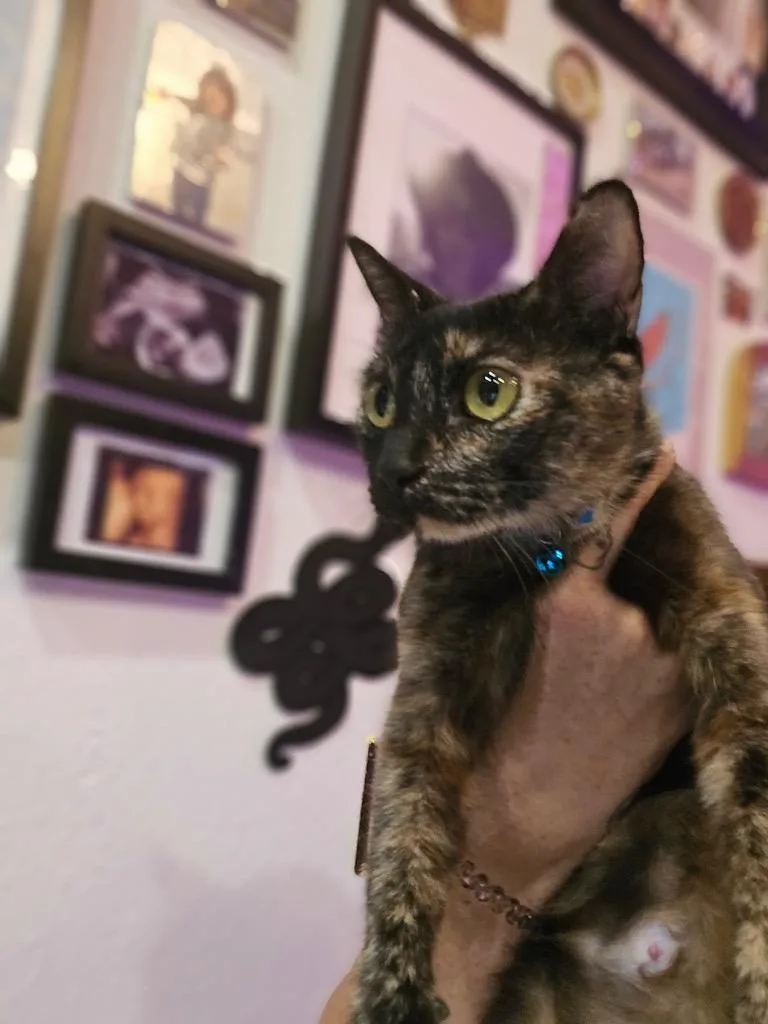 Sherri thumbnail 5