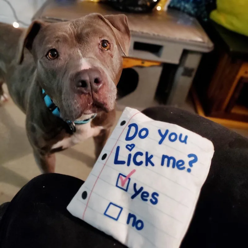 Ellie