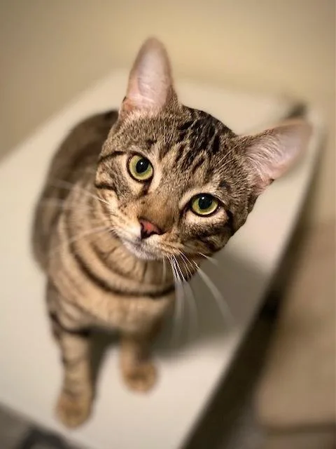 Hudson thumbnail 3