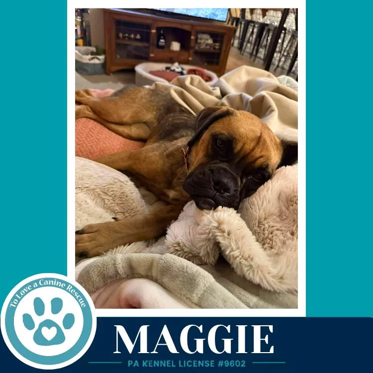 Maggie