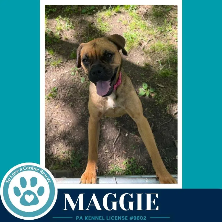 Maggie thumbnail 2