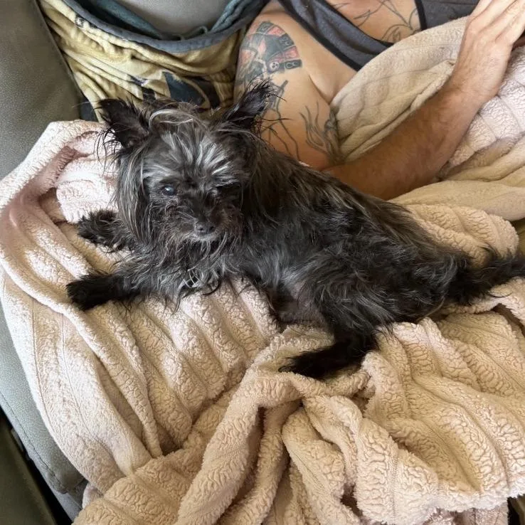 Oscar