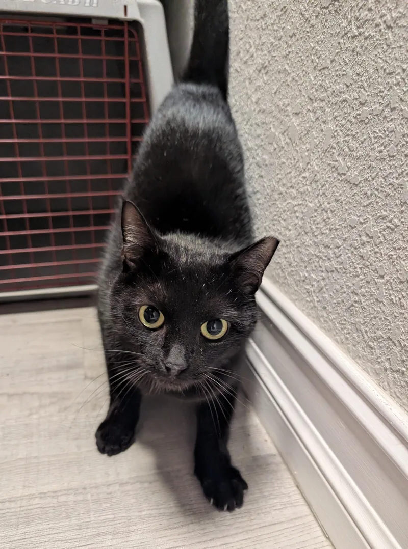 Kiersten thumbnail 2