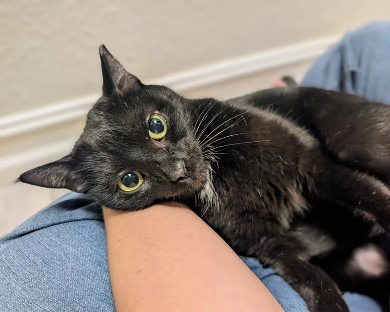 Kiersten thumbnail 3