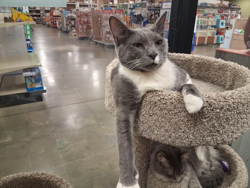 Jyn Erso thumbnail 2