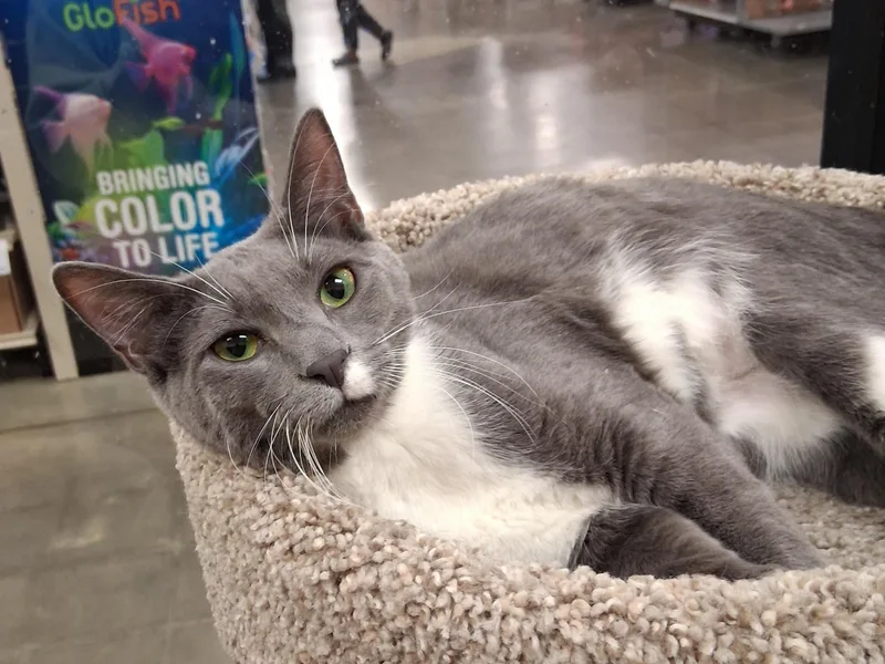 Jyn Erso thumbnail 3