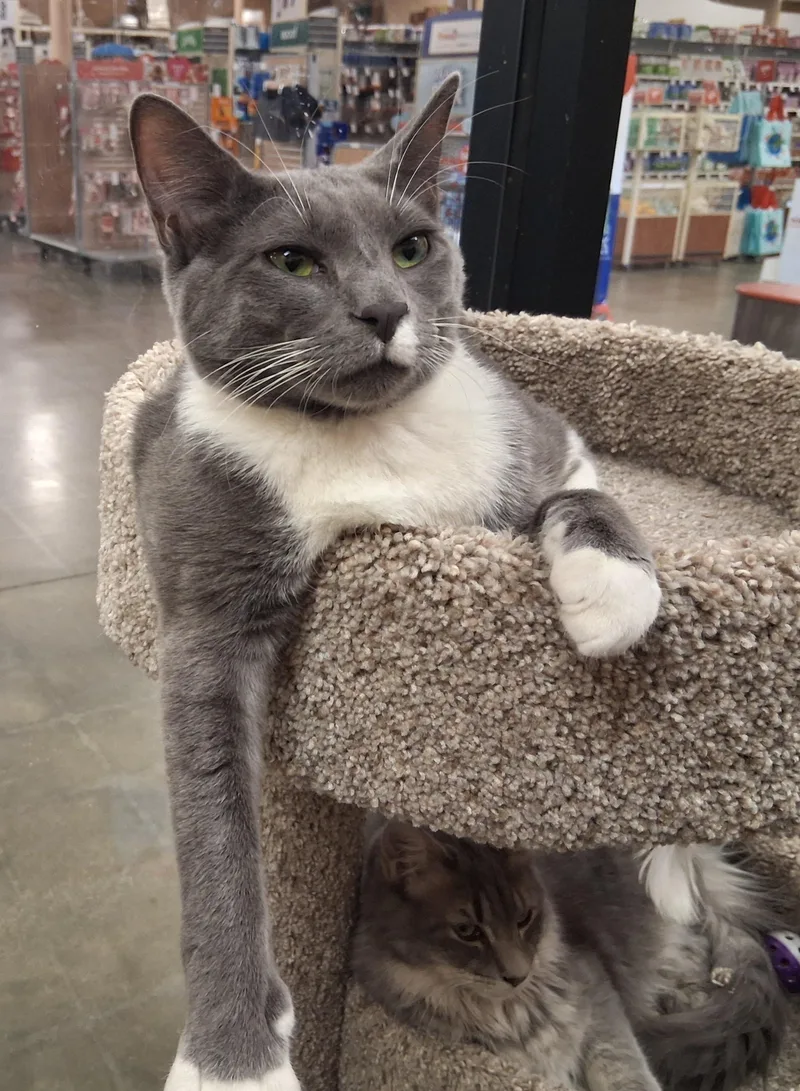 Jyn Erso thumbnail 4