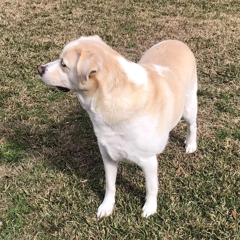 Lady Bug thumbnail 3